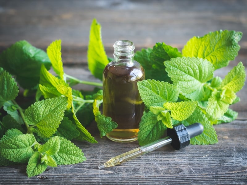 What's in B4? Lemon Balm Extract